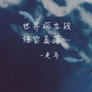 陈粒《走马》走马G调吉他谱及演奏视频 西二吉他