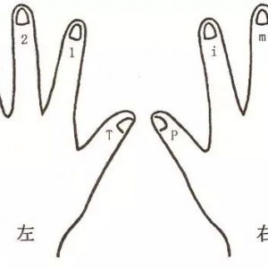 从零基础学吉他,这些看谱知识你要知道