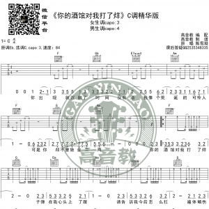 《你的酒馆对我打了烊》吉他谱C调精华版 陈雪凝 高音教编配 ...