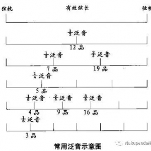 【吉他】关于吉他品点上的泛音音高!