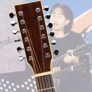 稀有!原来十二弦吉他声音可以这么好听!