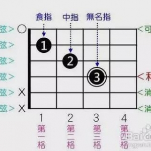 吉他初学知识(二)