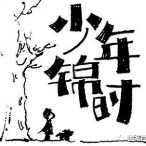 吉他弹唱《少年锦时》