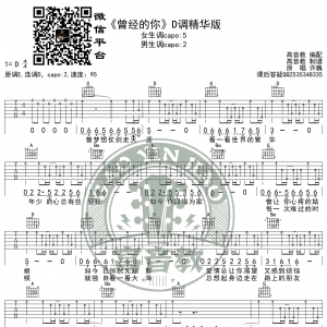 《曾经的你》吉他谱D调精华版 许巍 高音教编配
