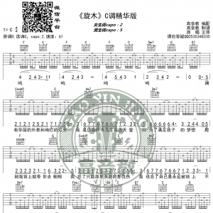 《旋木》吉他谱C调精华版 王菲 高音教编配