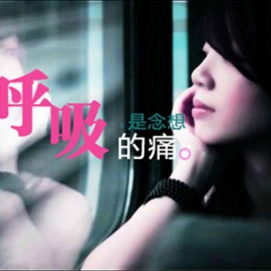 【会呼吸的痛吉他谱】梁静茹《会呼吸的痛》C调吉他谱