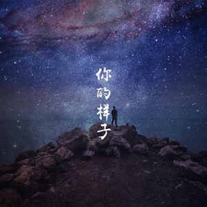 【你的样子吉他谱】罗大佑《你的样子》C吉他谱