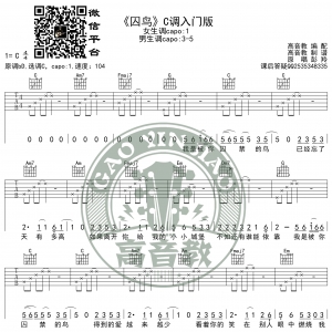 抖音热曲《囚鸟》吉他谱C调入门版 猴哥吉他教学 高音教编配 ...