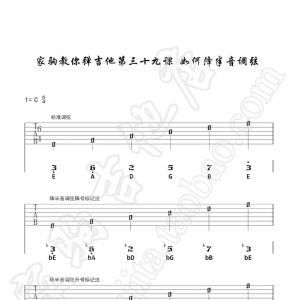 家驹教你弹吉他039 如何降半音调弦