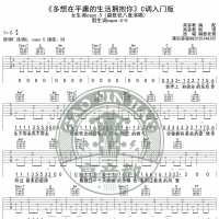 《多想在平庸的生活拥抱你》吉他谱C调入门版 隔壁老樊 高音教编配 ...