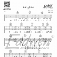 汪峰《像梦一样自由》吉他谱及教学视频[88]爱德文吉他
