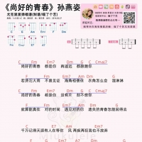 孙燕姿《尚好的青春》尤克里里谱和吉他谱