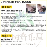【零基础入门教程】第二课|拨弦&右手的摆放姿势
