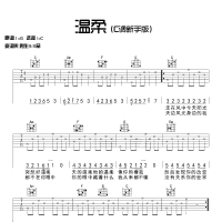 入门弹唱《温柔》C调吉他谱 新手版