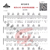 宋冬野《斑马斑马》简单吉他指弹谱及教学视频 乐事吉他