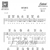 宋冬野《斑马斑马》吉他谱G调及教学视频 爱德文吉他