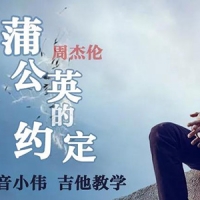 周杰伦《蒲公英的约定》吉他弹唱教学视频
