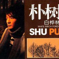 白桦林吉他谱·朴树《白桦林》吉他谱G调