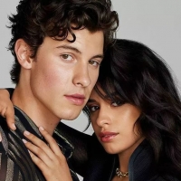 Shawn Mendes/Camila Cabello《Señorita》吉他谱C调 大树音乐屋