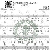 陈升《把悲伤留给自己》吉他谱G调入门版 高音教编配 猴哥吉他教学 ...