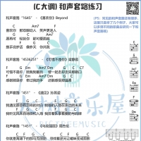 「乐理小课堂」の5分钟教你学会吉他和弦级数&和声套路讲解 ...