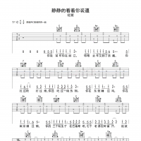 静静的看着你装逼吉他谱·花粥《静静的看着你装逼》吉他谱C调 ...