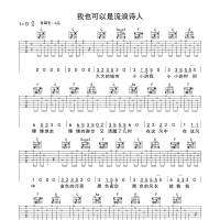 好妹妹乐队《我也可以是流浪诗人》吉他谱D调