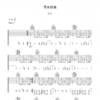 寻水的鱼吉他谱·许飞《寻水的鱼》吉他谱E调