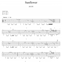 sunflower吉他谱·孙培博《sunflower》指弹吉他谱