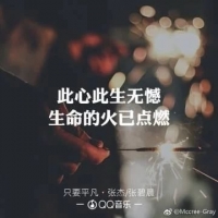 张杰/张碧晨《只要平凡》吉他谱C调及教学视频 西二吉他