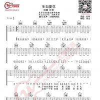 朴树 生如夏花 吉他谱 无限延音编配