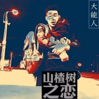 [山楂树之恋·抖音热曲]大能人《山楂树之恋》原版吉他谱G调 西二吉他 ...