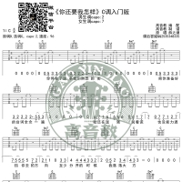薛之谦《你还要我怎样》吉他谱C调入门版 高音教编配 猴哥吉他教学 ...