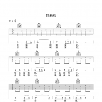 野菊花吉他谱 入门版