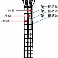 吉他演奏的左手姿势，你的左手标准吗？