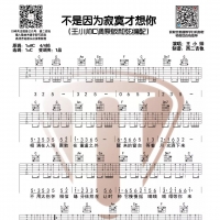 王小帅版本《不是因为寂寞才想你》吉他谱C调[西二吉他]