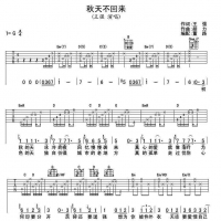 王强《秋天不回来》吉他谱G调