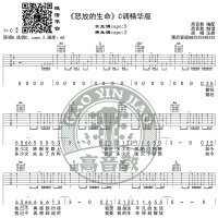 《怒放的生命》吉他谱C调精华版 高音教编配 猴哥吉他教学