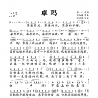 卓玛简谱[默子简谱]