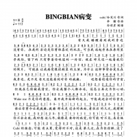 BINGBIAN病变简谱