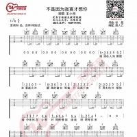 不是因为寂寞才想你吉他谱C调 王小帅[无限延音编配]