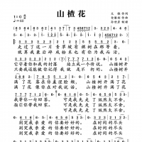 山楂花简谱