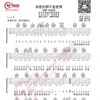 张韶涵 亲爱的那不是爱情 吉他谱 无限延音编配