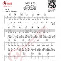 大能人 山楂树之恋 吉他谱 无限延音编配