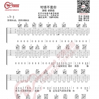 梁静茹 可惜不是你 吉他谱 无限延音编配