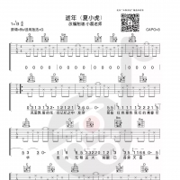 夏小虎《逝年》吉他谱G调及教学视频【小磊吉他出品】