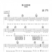 张震岳《爱之初体验》吉他谱E调【吉他团伙】