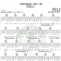 《爱之初体验》吉他谱G调入门版高音教编配