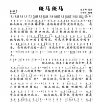 斑马斑马简谱 宋冬野