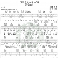 [抖音热曲]不负于你吉他谱C调入门版高音教编配